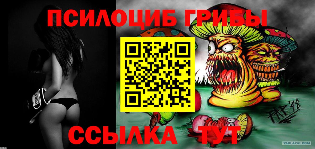 купить наркотик  Вход с VPN  Воскресенск  Галлюциногенные грибы GOLDEN TEACHER 
