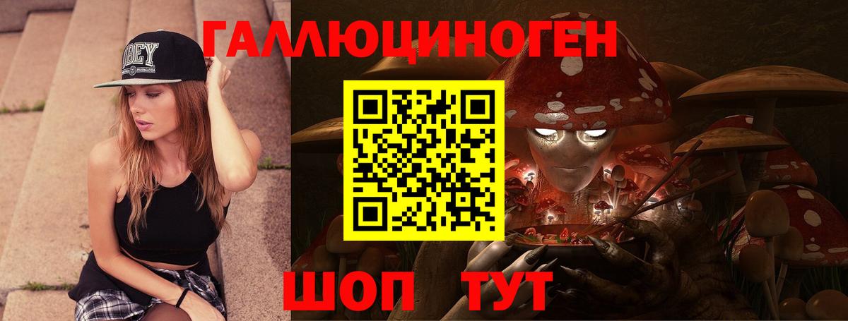 Псилоцибиновые грибы Psilocybe Воскресенск
